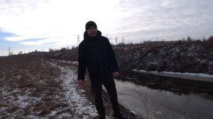 Сколько сейчас стоят пчёлы? Пчелопакеты и пчелосемьи.