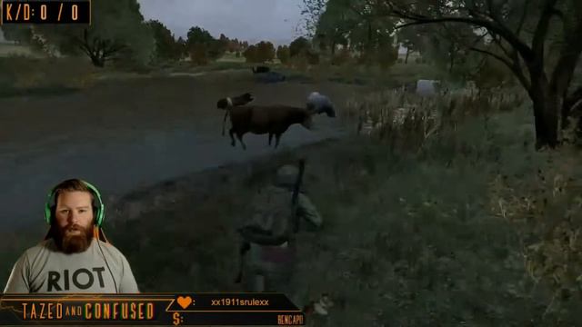 Stampede cows, stampede! :D смотреть онлайн