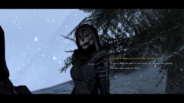 Skyrim Let's Become: The Shadowborn | 5 | Shadow Mage/Assassin Build смотреть онлайн