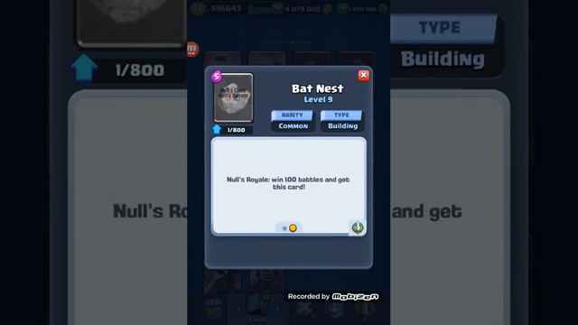 Null,s Royal , Null,s brawl смотреть онлайн