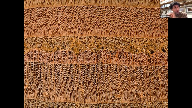 In praise of tree ring archives (and an open dendrological mind) смотреть онлайн
