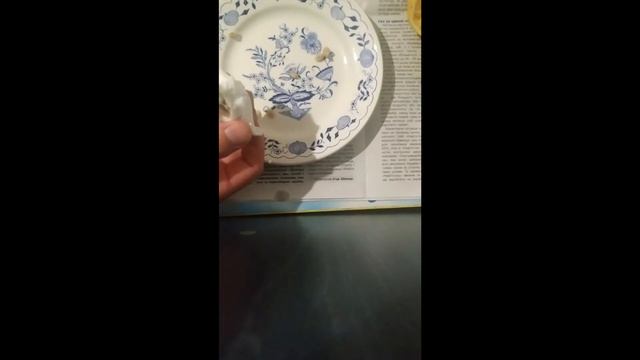 ПОДГОТОВКА КОСТОЧЕК ЛИМОНА К ПОСАДКЕ. ОБЗОР ВОСЬМИДНЕВНЕГО РОСТКА ЛИМОНА! смотреть онлайн