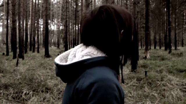 Глубина мизансцены смотреть онлайн
