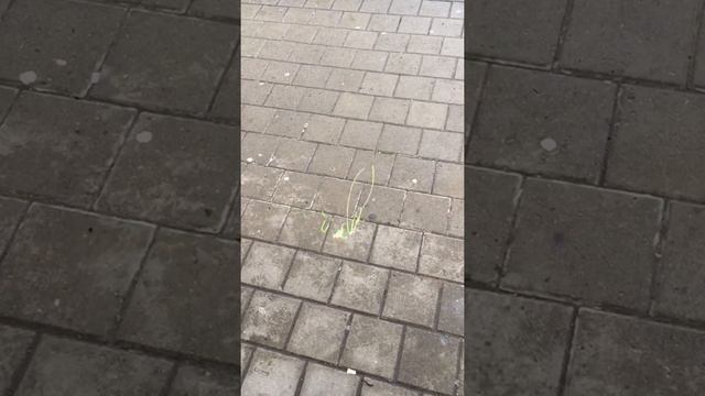 Проектор для улицы-игры для детей. смотреть онлайн