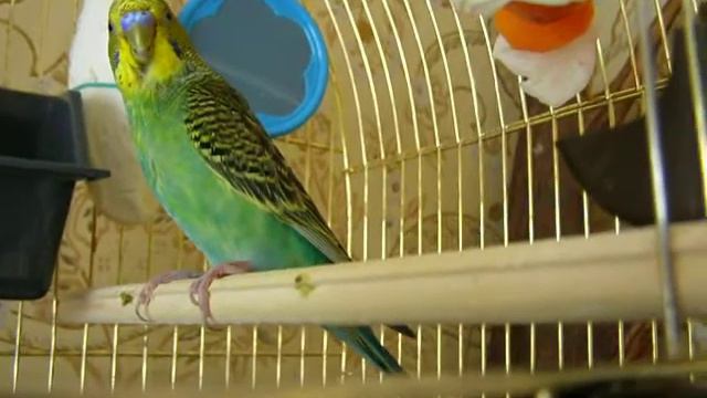 дыхание смотреть онлайн