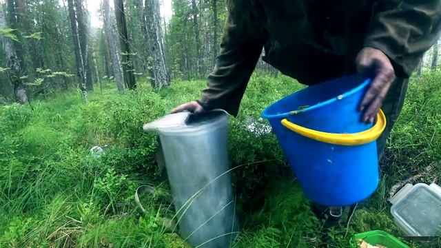 САМЫЙ БЫСТРЫЙ СПОСОБ СБОРА ЧЕРНИКИ КОМБАЙНОМ ДЫМ ПОВСЮДУ ЛЕСНЫЕ ПОЖАРЫ В СИБИРИ смотреть онлайн