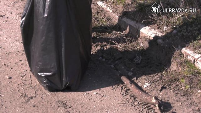Вперед на «пятничник». Ульяновские журналисты убрали берег Волги смотреть онлайн