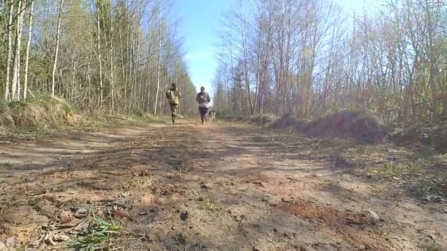 Я ХУДЕЮ! ЗАРЯДКА и ПРОБЕЖКА утром В ЛЕСУ! ЗАВТРАК\\ Новая ЖИЗНЬ В ДЕРЕВНЕ! смотреть онлайн