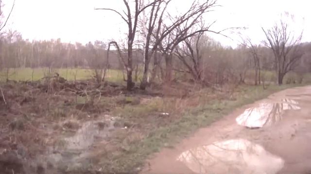 Дорога на поляну для mikrob ru смотреть онлайн