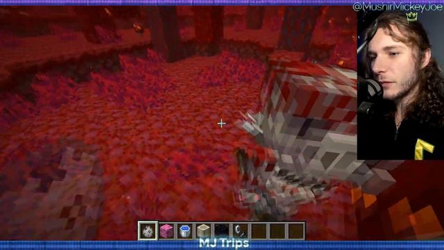 The Skeletons of "Barely Default" 💀 Minecraft Fresh Animations Resource Pack смотреть онлайн