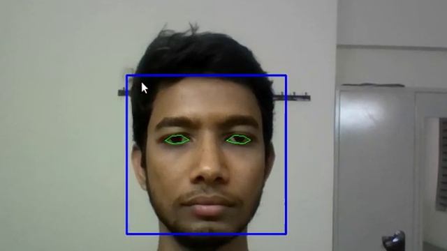Driver Drowsiness Detection Demo | OpenCV and Python | Computer Vision | Penguin Coders смотреть онлайн
