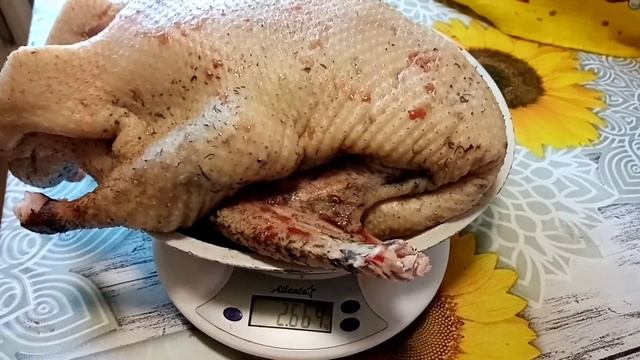 Вес тушки утки "Стар-53" в 70 дней смотреть онлайн