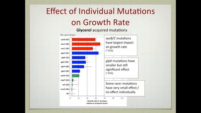 Lecture 26. Adaptive Laboratory Evolution смотреть онлайн