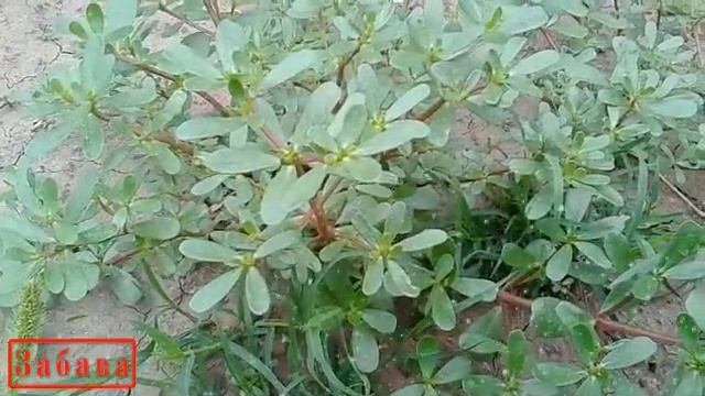 Фотография Городских Пейзажей