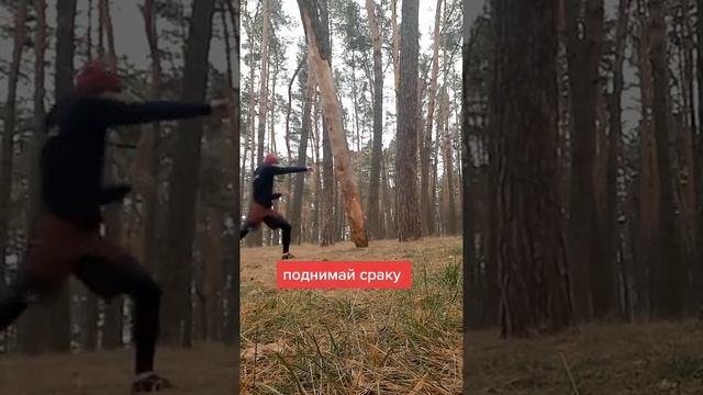 Дорогу осилит идущий, через терни к звёздам смотреть онлайн