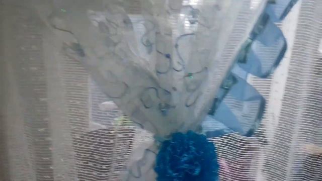 обзор комнатных растений на 14 января часть 1 смотреть онлайн