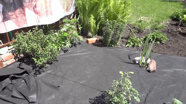 Наша дача. 23, 24 мая 2015. Vlog #5 смотреть онлайн