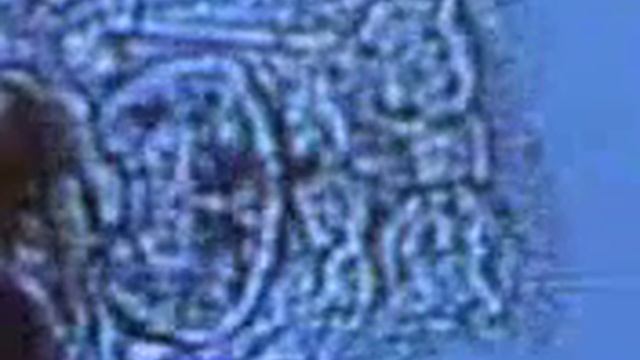 rotifer 3 Brachionus ibericus смотреть онлайн