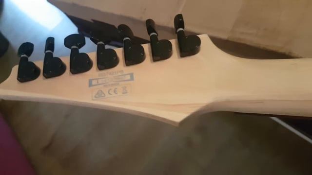 7 string Ibanez Unboxing & Review RG7421PB смотреть онлайн