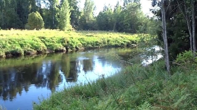Поход на велосипеде по лесу к устью р.Белая. Велопоход в Тверской области смотреть онлайн