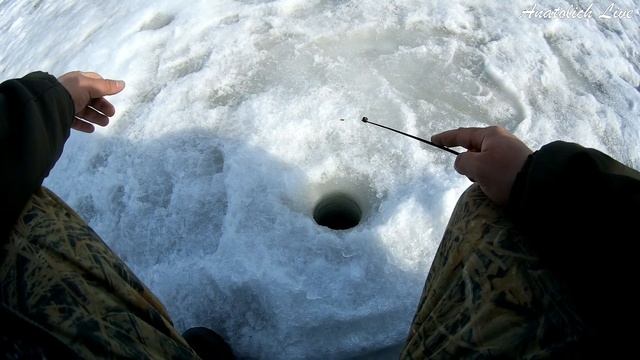 РЫБАЛКА на озере. Ловля окуня на мотыля. смотреть онлайн