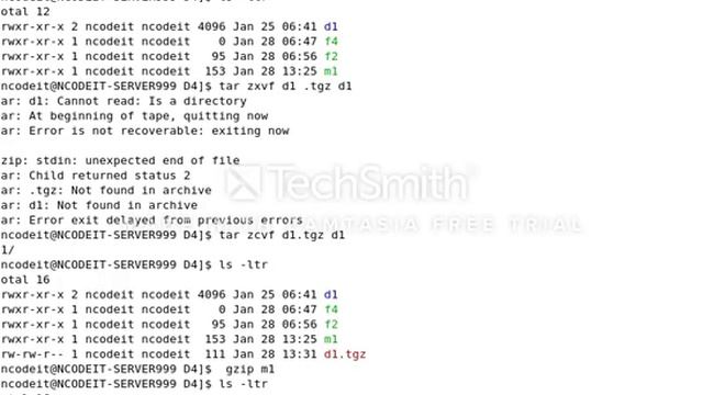 unix commands 2,3 blind exuction смотреть онлайн