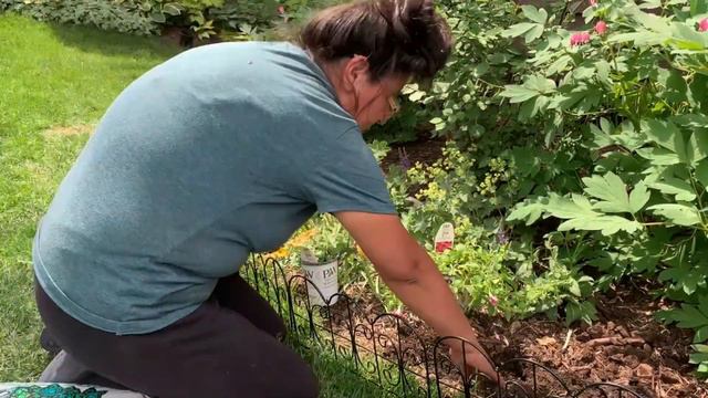 Planting Proven Winners Supertunia DAYBREAK CHARM & Supertunia HONEY combo! plus Coleus 🍃 zone 4b M смотреть онлайн