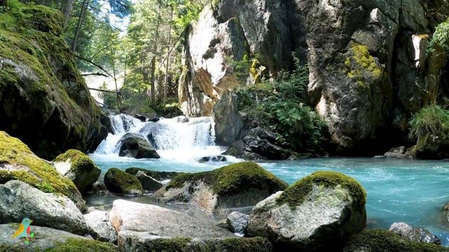 Relaxing music with Water Sounds • Peaceful Ambiance , Yoga and sleep Relaxation смотреть онлайн