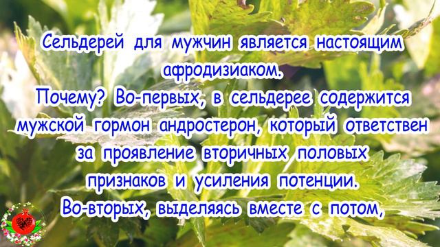 Как увеличить потенцию смотреть онлайн