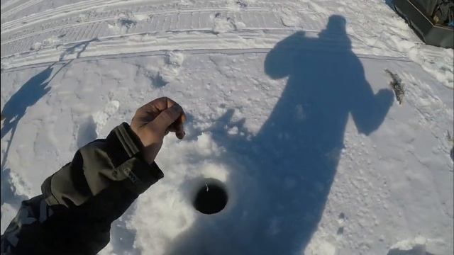 ХАРИУС. Апрельская рыбалка смотреть онлайн