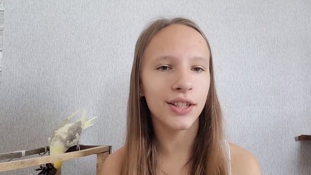 Как я научила кореллу говорить? смотреть онлайн