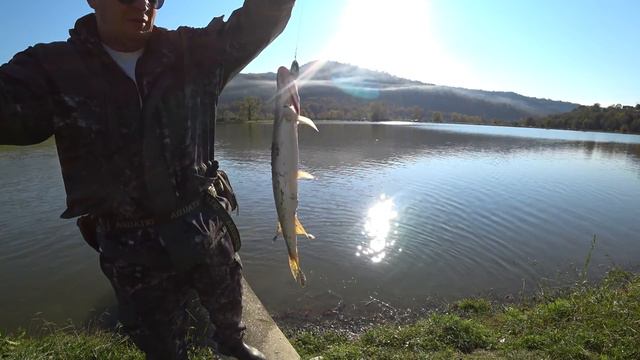 Рыбалка в Сочи 11.11.2018. Сколько поймал щук ? смотреть онлайн