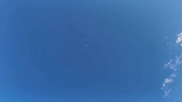 #бойныеголуби2021. Красивый утренний полет бакинских бойных голубей 20.06.2021г. смотреть онлайн