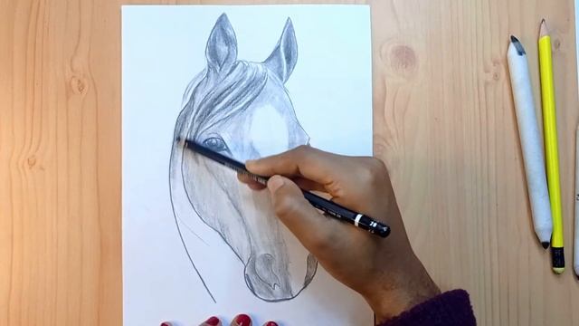Online classes: How to Draw a Realistic Horse Head Easy Step by Step || Drawing Horse Head смотреть онлайн
