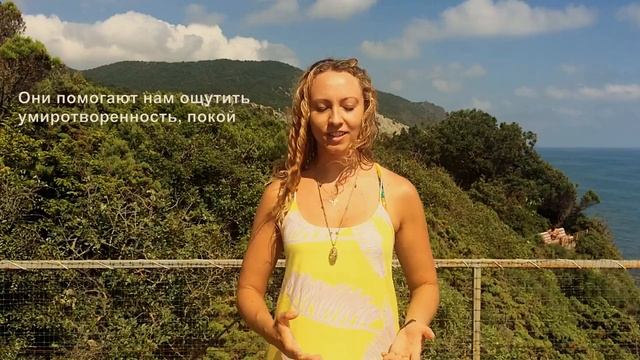 Мастер Биоданза Джейд Вепенер Квамманга смотреть онлайн