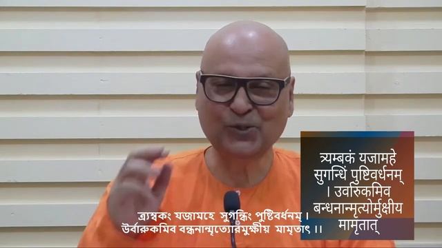 Maha Mrityunjay Mantra (Bengali) | Mantras from the Vedas | Swami Samarpanananda смотреть онлайн