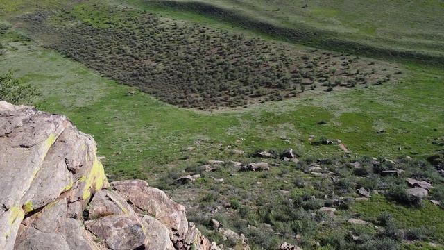 Кварталовский-travel