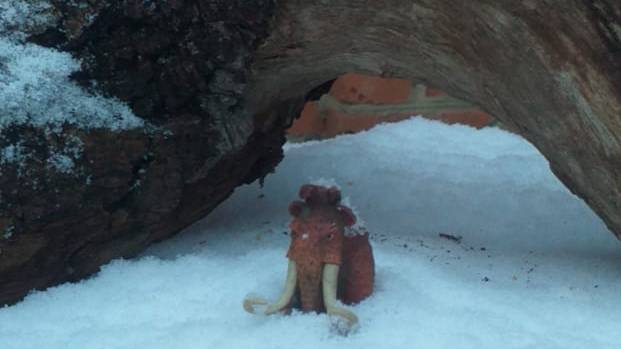 Слон смотреть онлайн