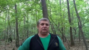 Сигареты Балканская Звезда Золото:Дешево и сердито!!!