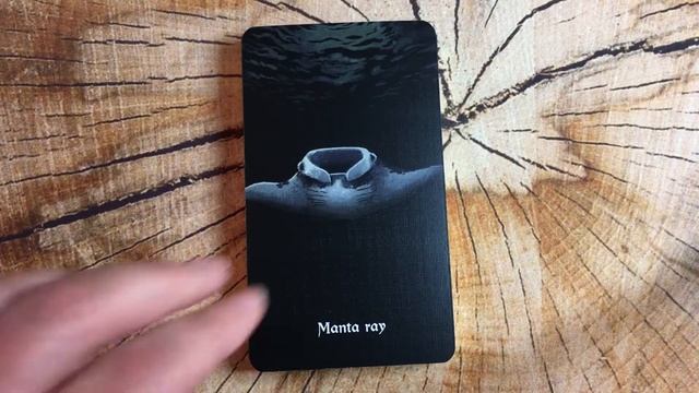 Nocturna Oracle (Walkthrough) смотреть онлайн