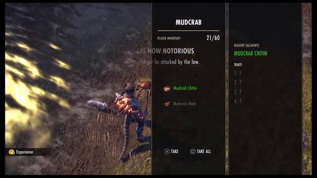 Elder Scrolls Online | Dragon Knight | Leveling смотреть онлайн