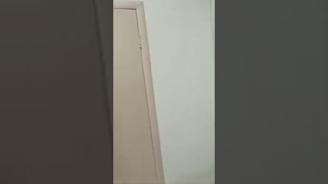 Комсомольский Мордовия ТЦ Родник смотреть онлайн