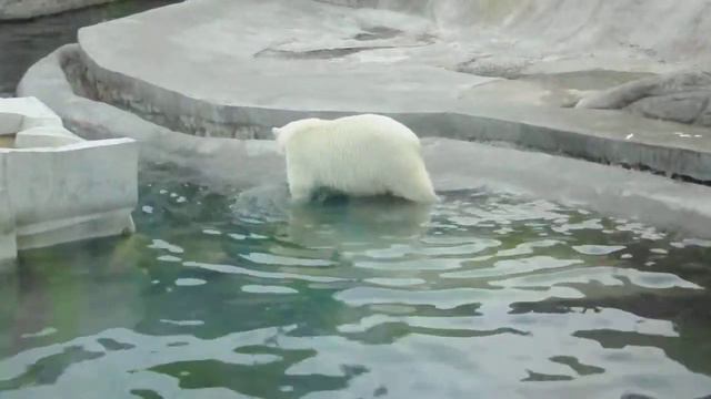 Московский зоопарк. смотреть онлайн