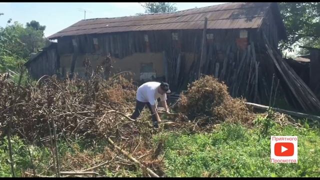 заготовка дров назиму