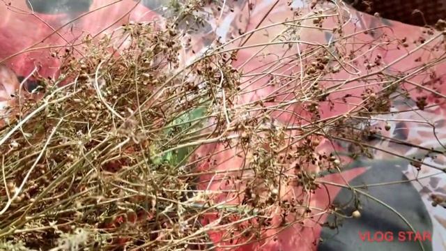 Дом и дача Шедевральный завтрак Установили дверь Паровая швабра Kitfort смотреть онлайн