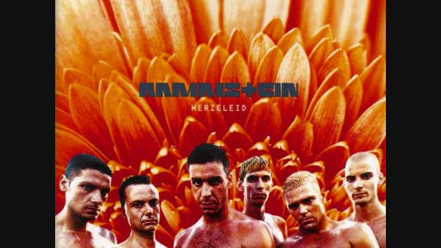 Rammstein-Der Meister