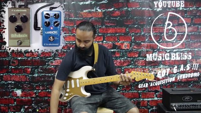 MORE ANALOG-ISH? TC Electronic Echobrain Analog Delay vs Flashback Analog Mode смотреть онлайн