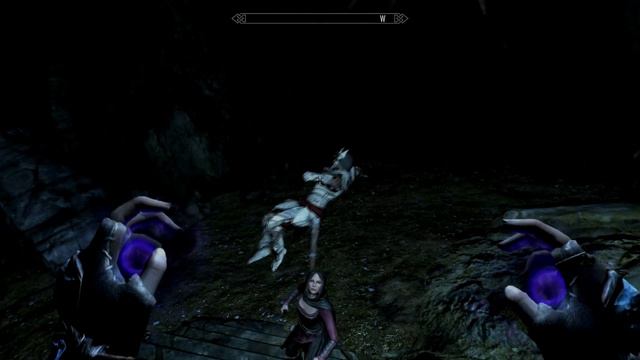 SkyrimSE Sofia Companion glitch смотреть онлайн