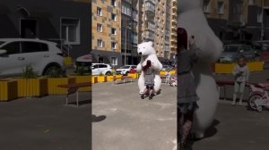 Белый Мишка Поздравляет С Днём Рождения ?????