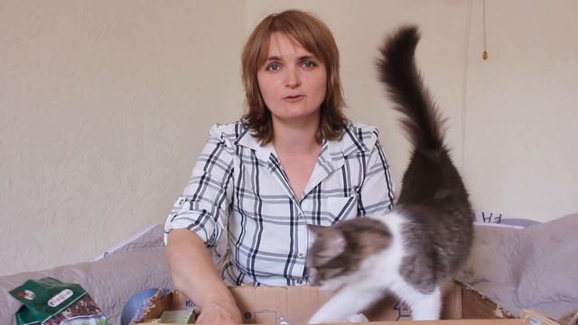 Подарки животным от Кирилла. Распаковка. смотреть онлайн